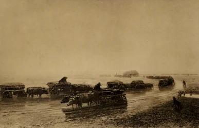 Ox Cart Track in Mariupol, 1875